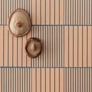 Mutina – Fringe Tile gallery detail image