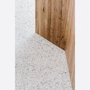The Naturaliste | Terrazzo Tiles gallery detail image