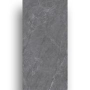 Master Grey Porcelain Tile 600x1200 gallery detail image