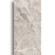 Venus Matt Light Beige Porcelain Tile 900x1800 gallery detail image
