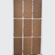 Pasture brick matt Floor/Wall Tile gallery detail image