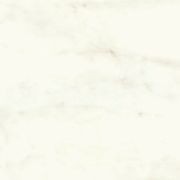 Calacatta Delicato Polish | Tile Space gallery detail image