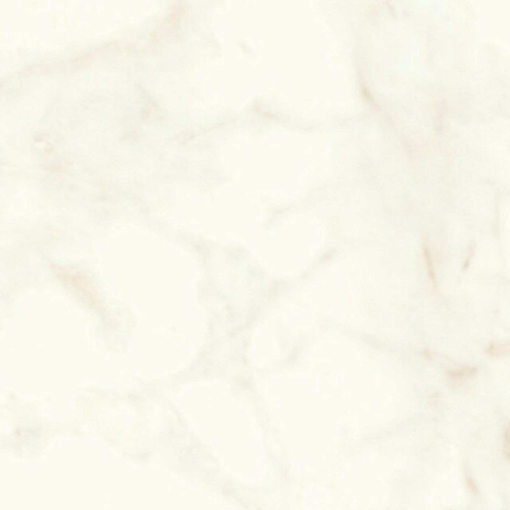 Calacatta Delicato Polish | Tile Space gallery detail image