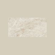 Diva Taj Mahal Satin | 60x120 gallery detail image