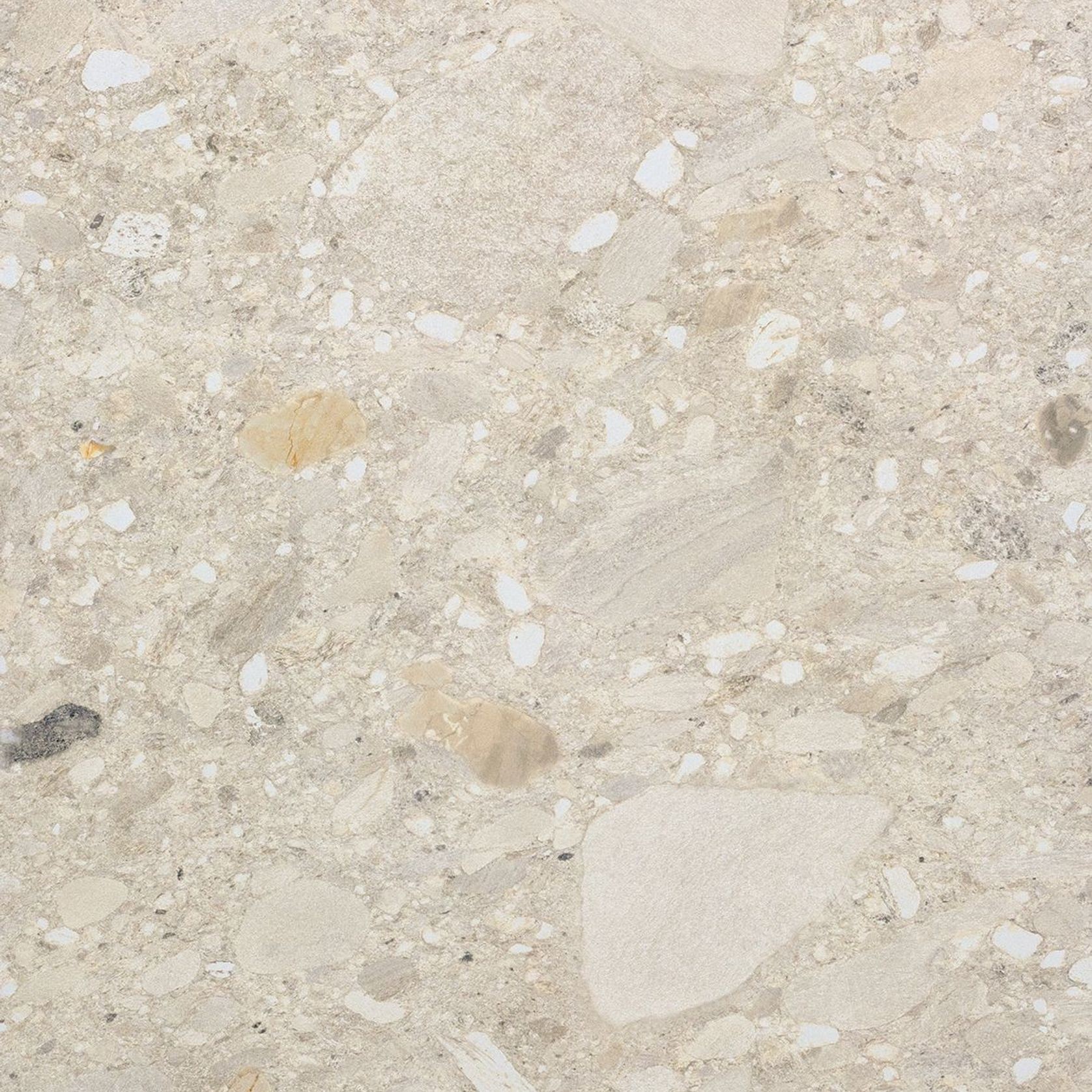 Ceppo gallery detail image