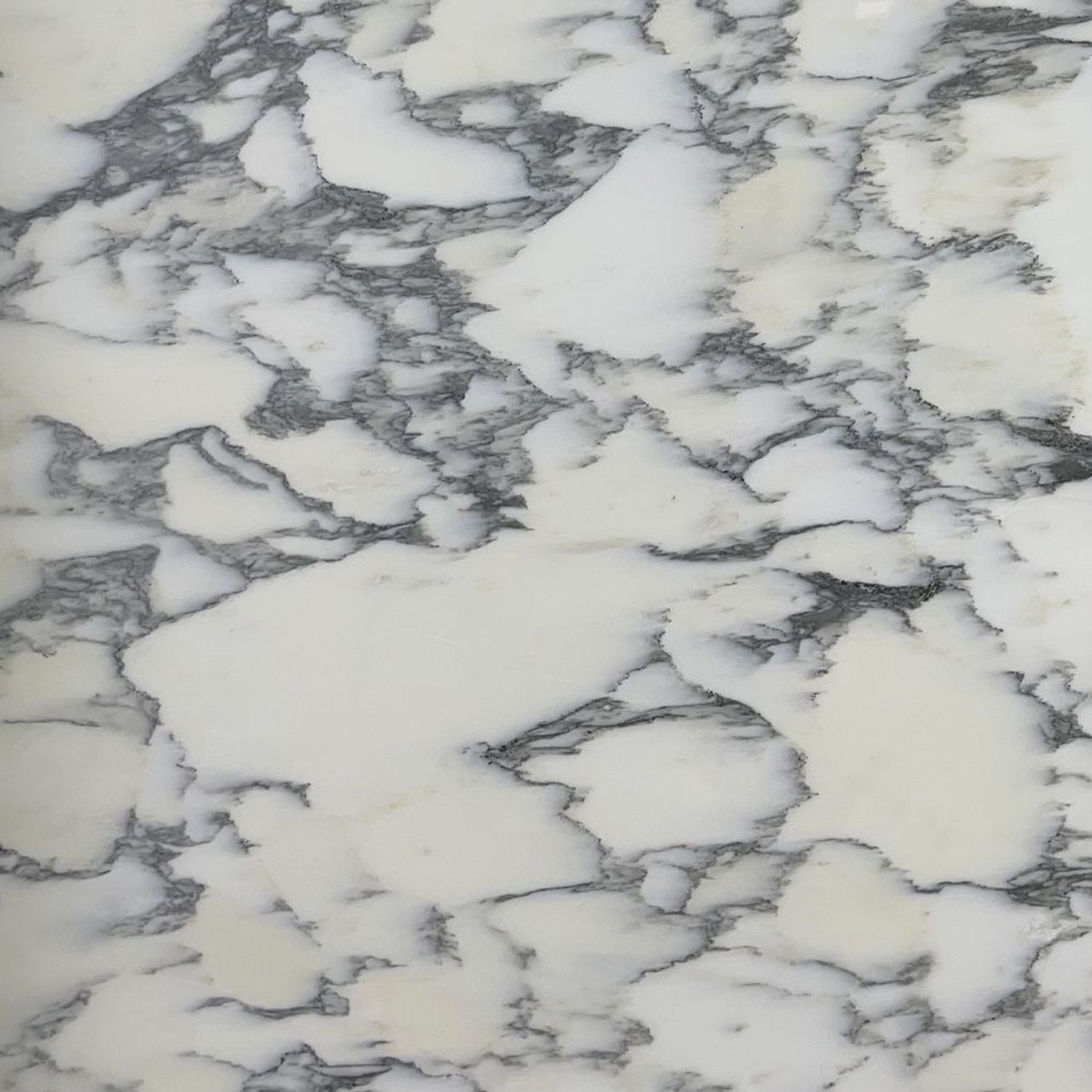 Natural Stone Slabs | Arabescato Corchia Marble gallery detail image
