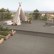 Bluestone 10mm & 20mm Pavers gallery detail image