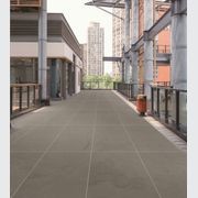 Bluestone 10mm & 20mm Pavers gallery detail image