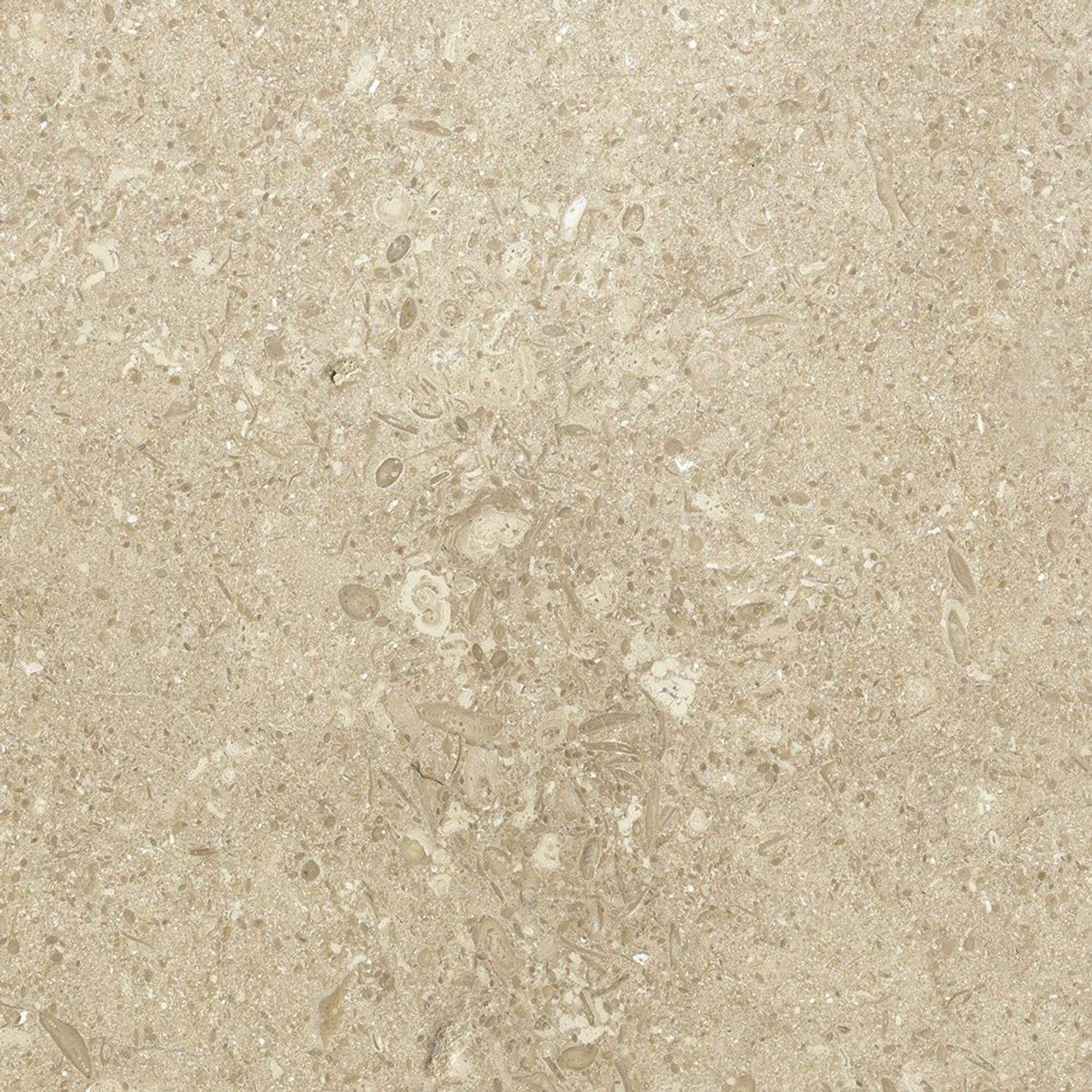 Natural Stone Tiles | Bellagio Limestone gallery detail image