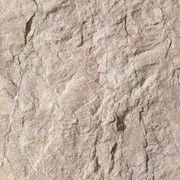 Natural Stone Tiles | Bellagio Limestone gallery detail image