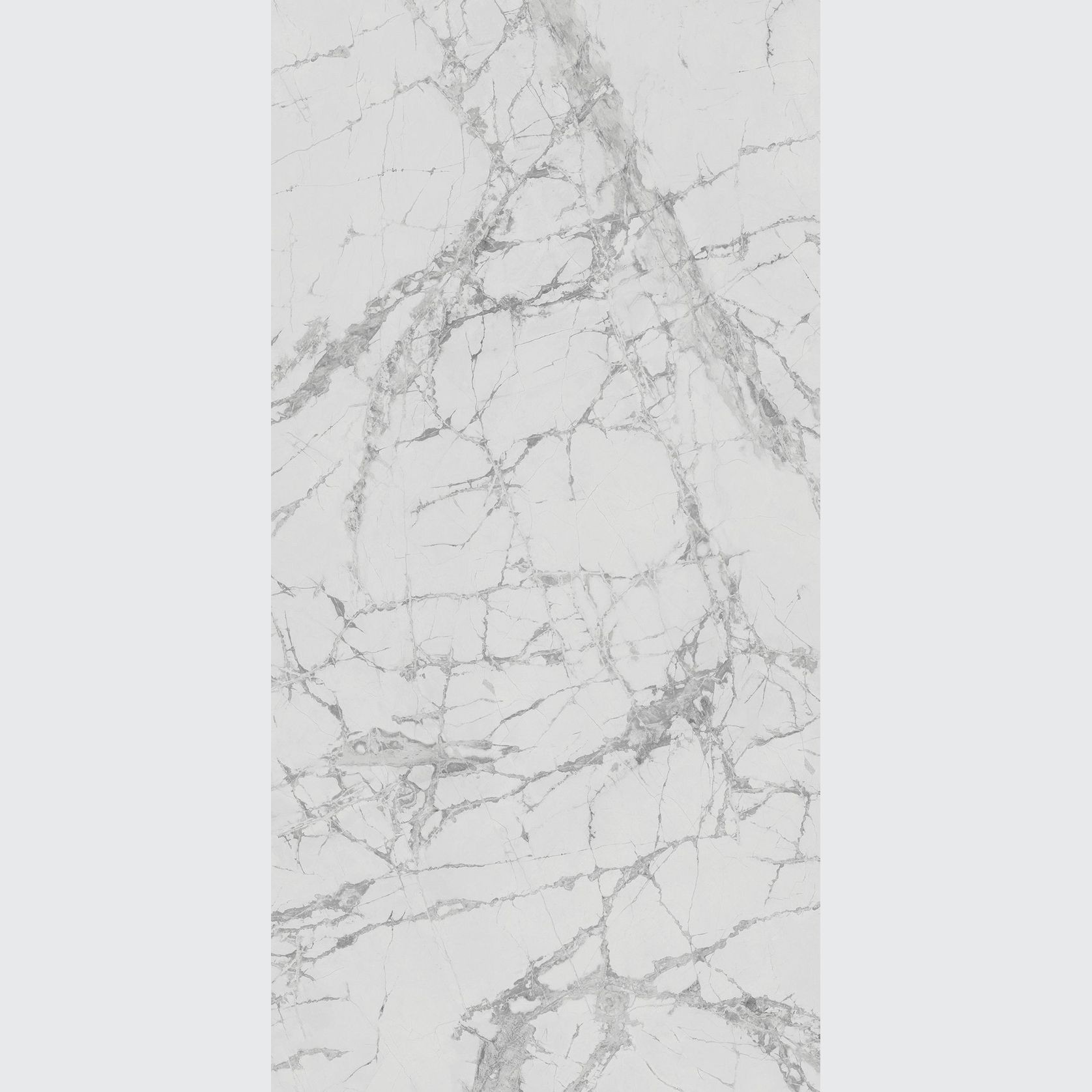 Carrara Venato gallery detail image