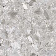 Ceppo | Fossil Inspired Porcelain Tile gallery detail image