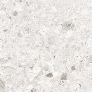 Ceppo | Fossil Inspired Porcelain Tile gallery detail image