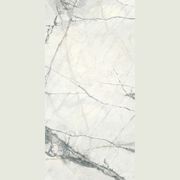 Clod Snow gallery detail image