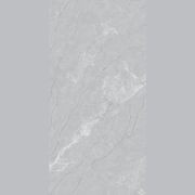 Elegant Grey gallery detail image