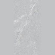 Elegant Grey gallery detail image