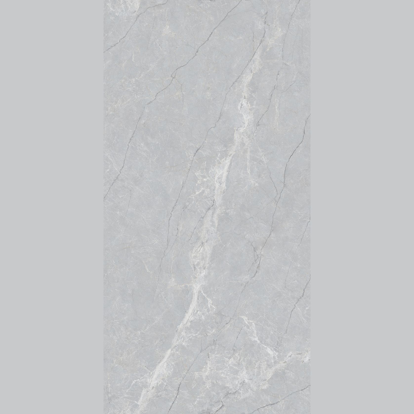 Elegant Grey gallery detail image