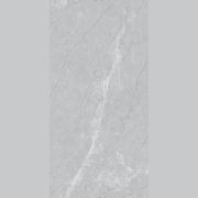 Elegant Grey gallery detail image