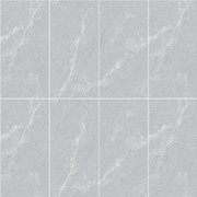 Elegant Grey gallery detail image