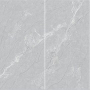 Elegant Grey gallery detail image