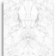 Calacatta White Honed Porcelain Tile 1200x2700 gallery detail image