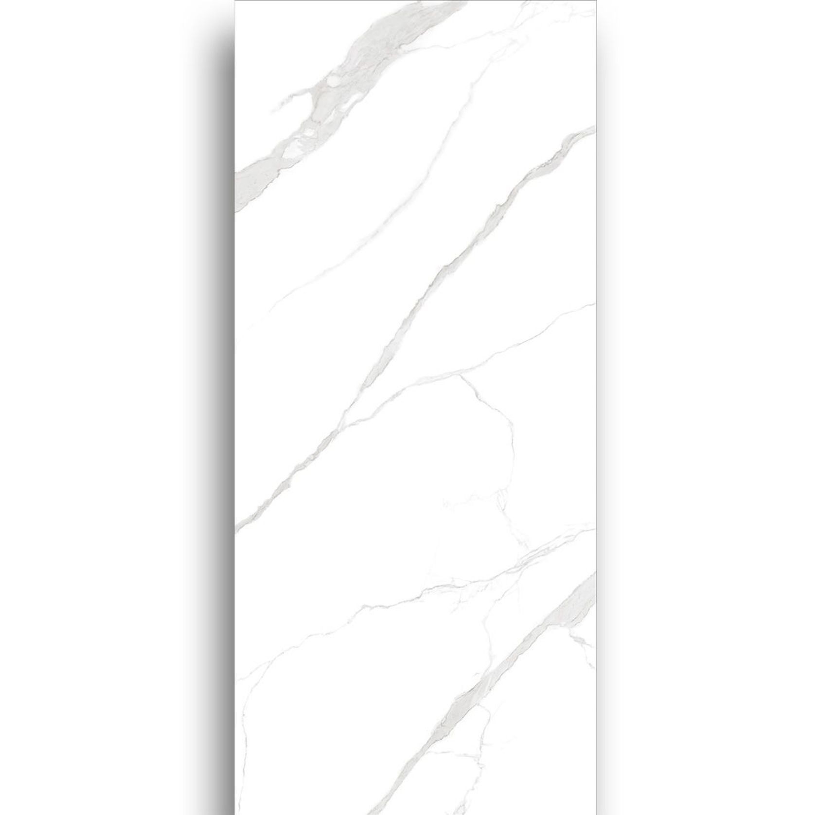 Carrara White Honed Porcelain Tile 1200x2700 gallery detail image