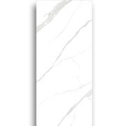 Carrara White Honed Porcelain Tile 1200x2700 gallery detail image