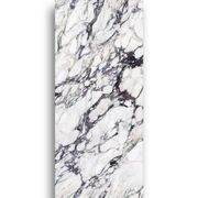 Bvlgar Polished 1200x2700 gallery detail image