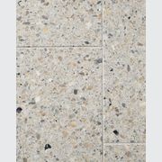 The Naturaliste | Terrazzo Tiles gallery detail image