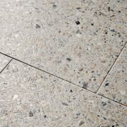 The Naturaliste | Terrazzo Tiles gallery detail image