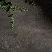 Icocci Grafite Floor & Wall Tiles gallery detail image