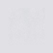 Wild Gloss 500x500 gallery detail image