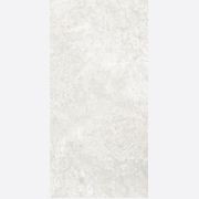 Arctic Tundra White Matt 60x120 gallery detail image