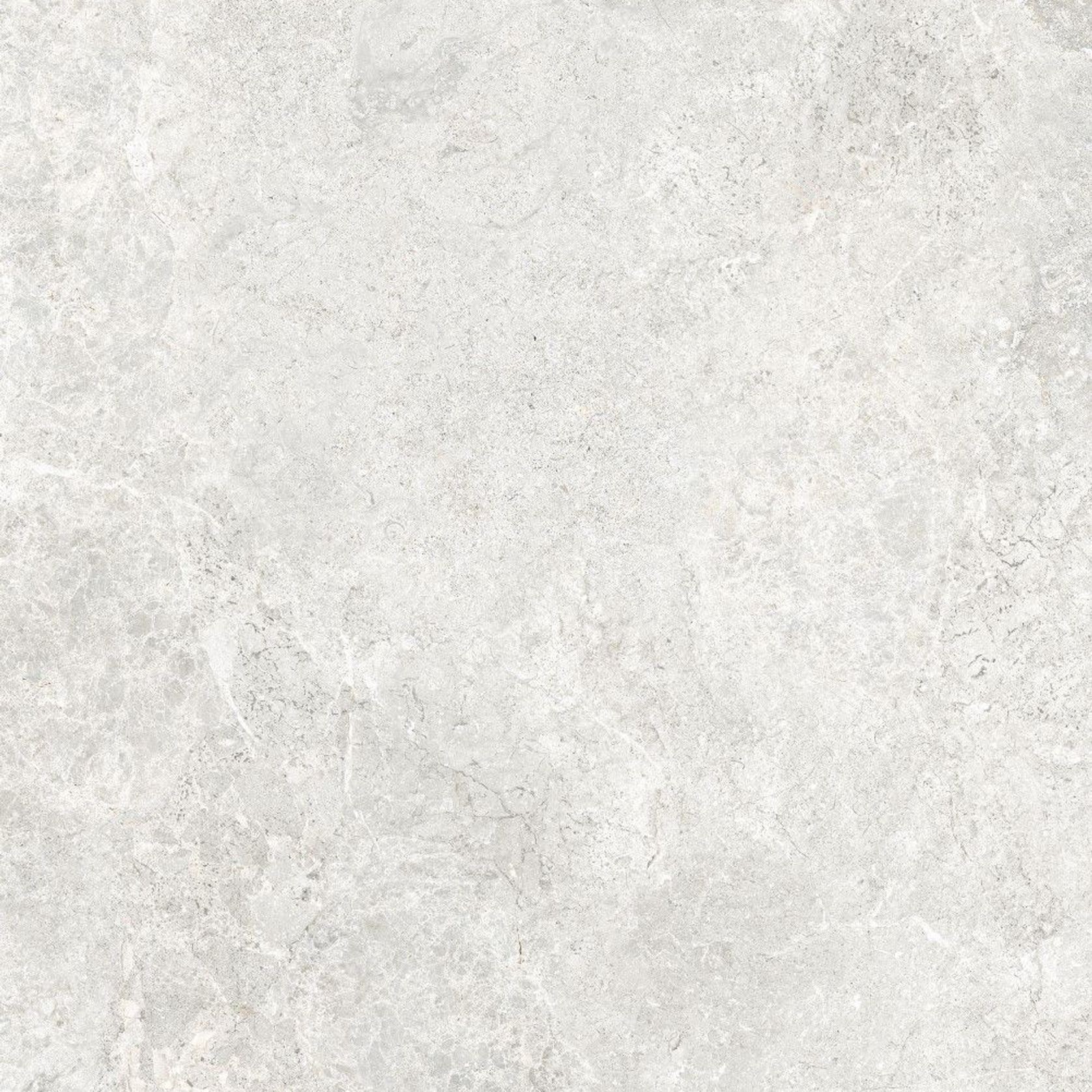 Arctic Tundra White Matt 60x120 gallery detail image