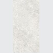 Arctic Tundra White Matt 60x120 gallery detail image