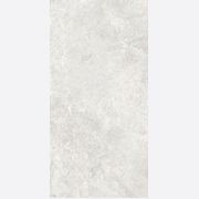 Arctic Tundra White Matt 60x120 gallery detail image