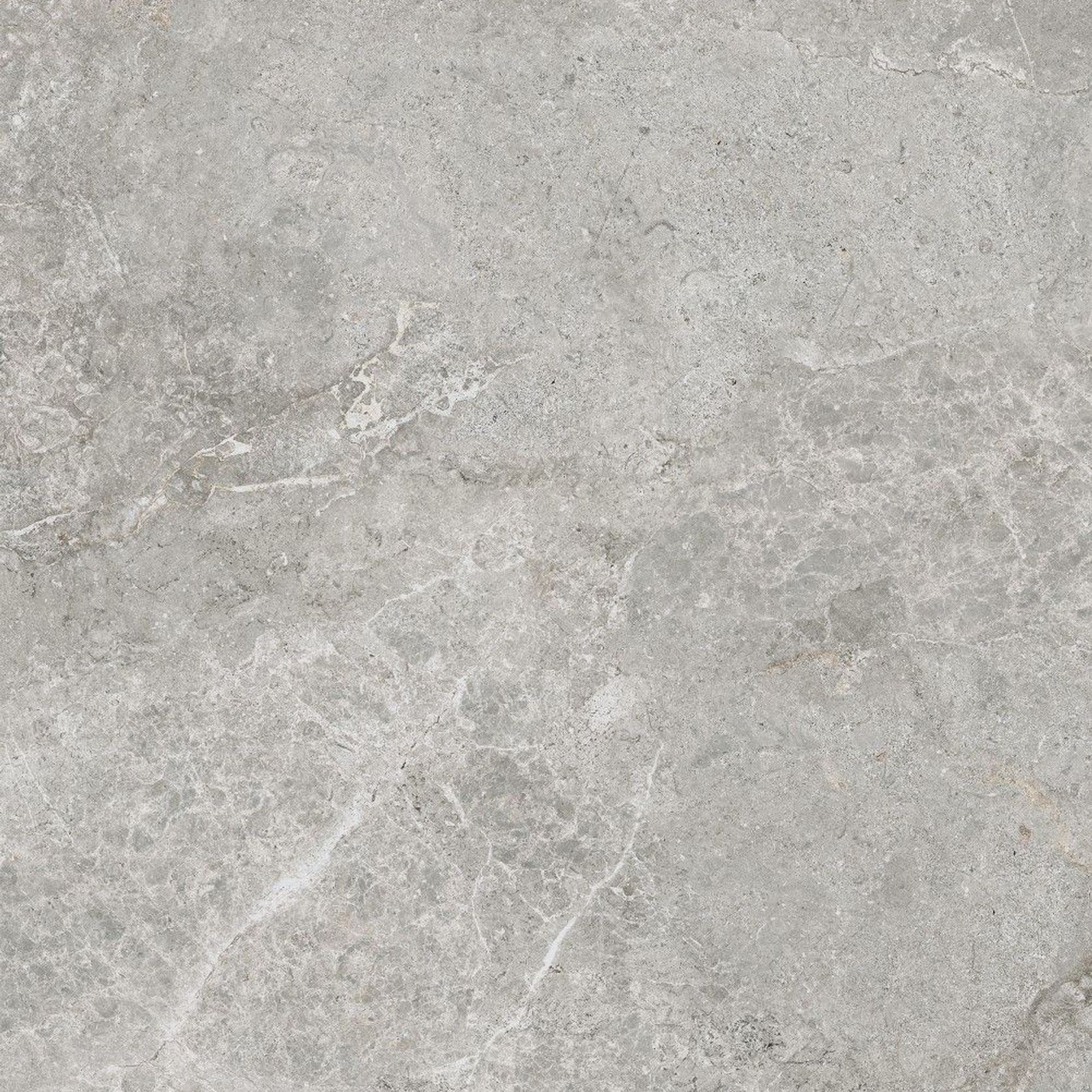 Arctic Tundra Grey Matt 60x120 gallery detail image