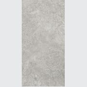 Arctic Tundra Grey Matt 60x120 gallery detail image