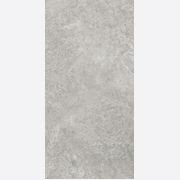 Arctic Tundra Grey Matt 60x120 gallery detail image