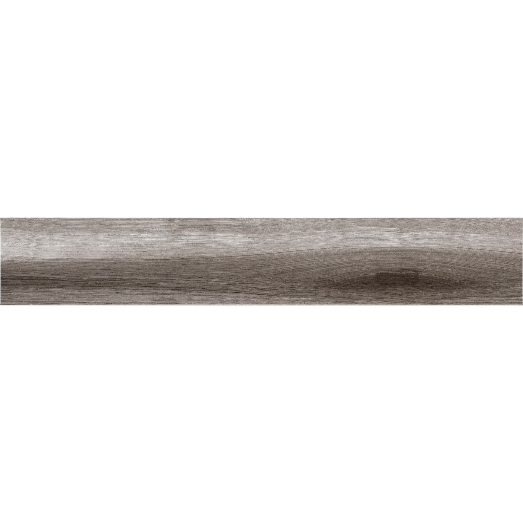 Mexican Cypress gallery detail image