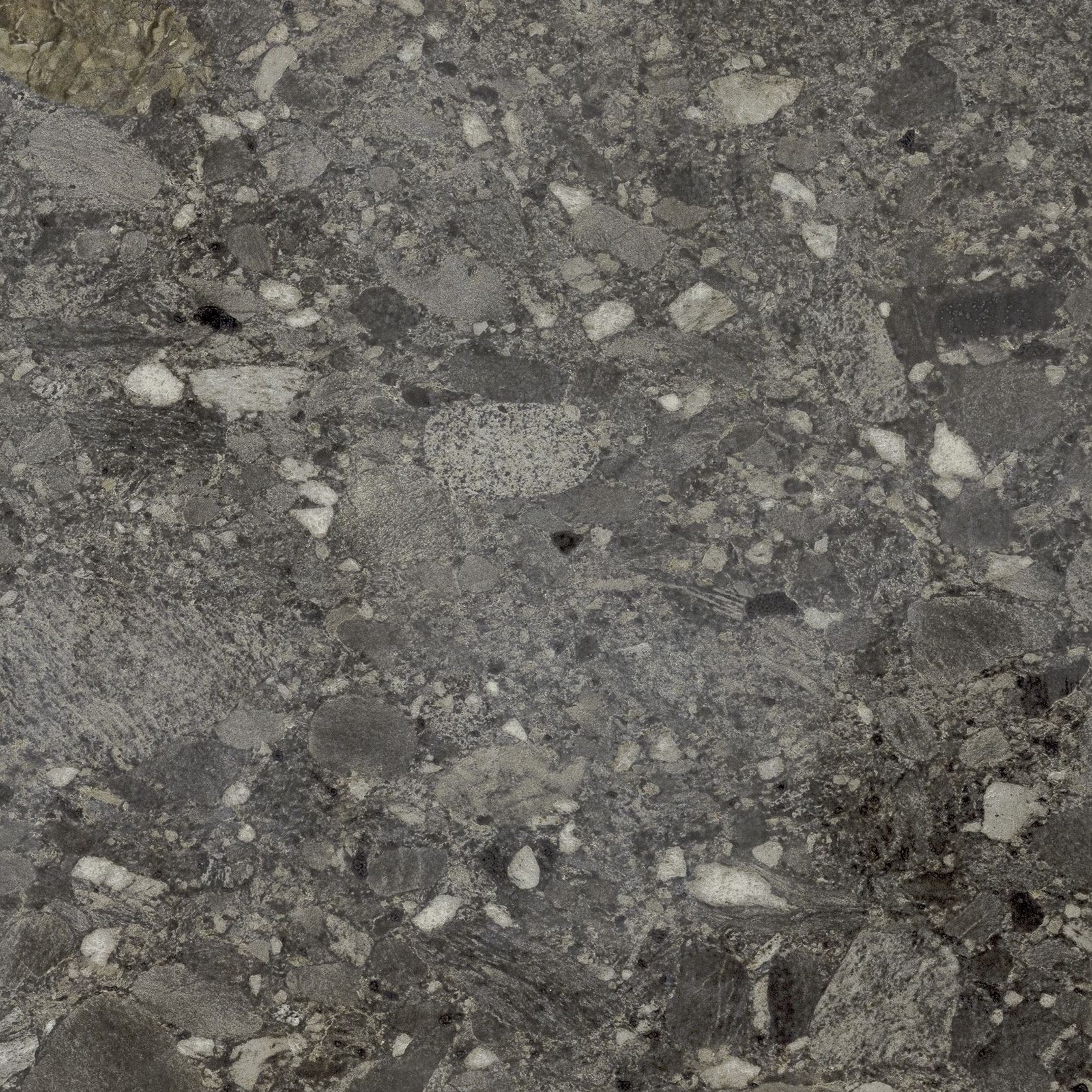 Ceppo gallery detail image
