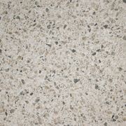 Paul Organic Matt gallery detail image