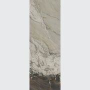 Rocky Glacier gallery detail image