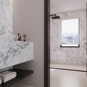 Alpine White Vein Polished 750x1500 gallery detail image