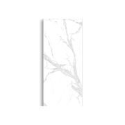 Bianco Carrara Polished 1200x2700x6mm gallery detail image
