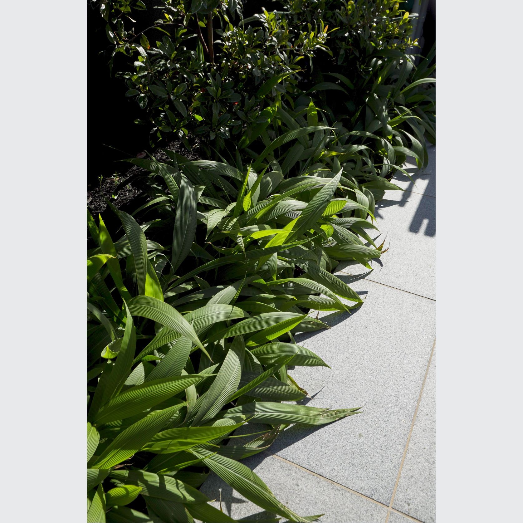 Tasman Grey Granite gallery detail image