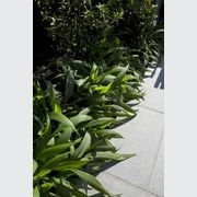 Tasman Grey Granite gallery detail image