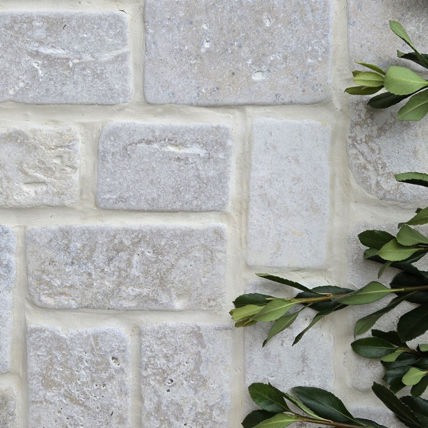 Travertine Pavellino gallery detail image
