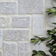 Travertine Pavellino gallery detail image