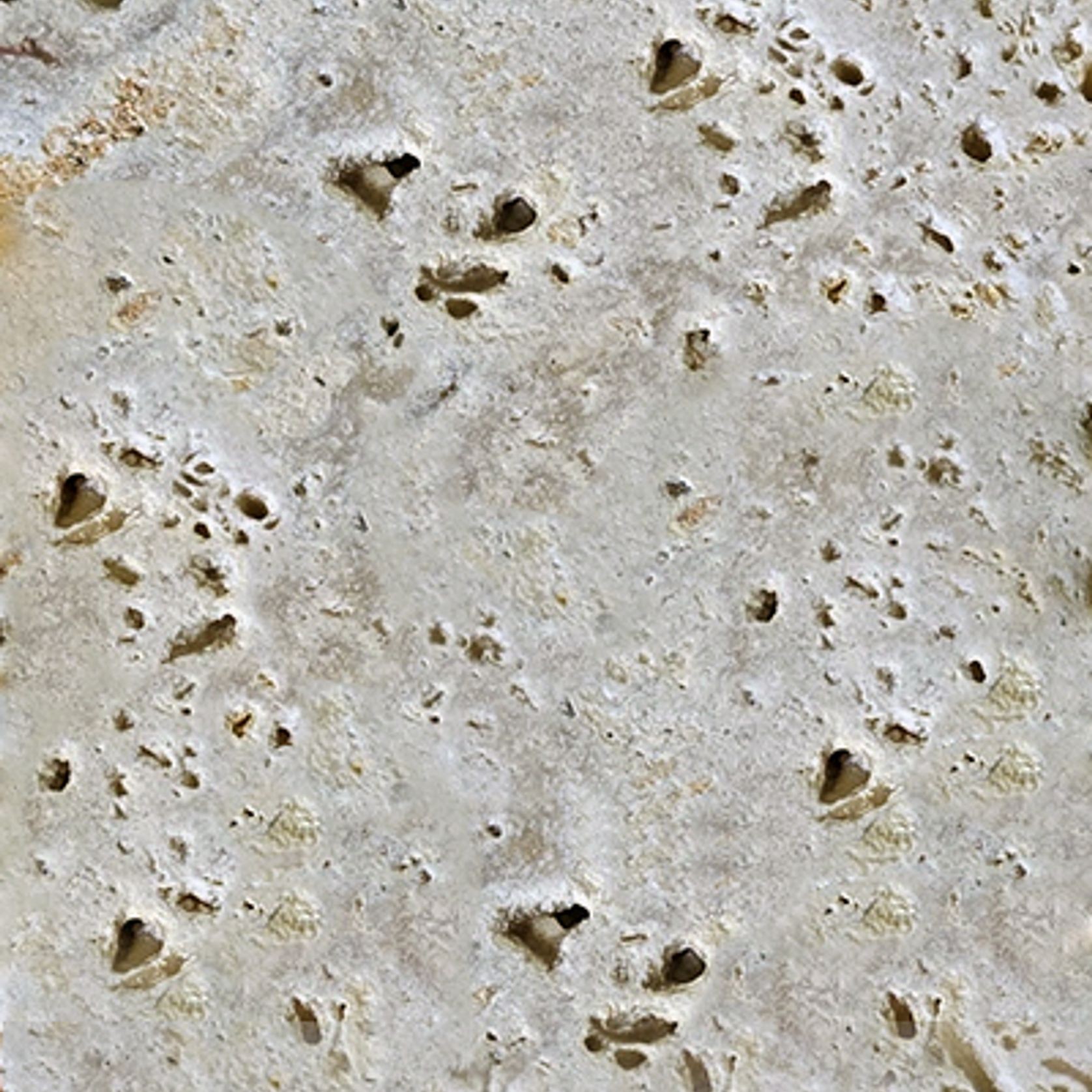 Travertine Pavellino gallery detail image
